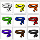 Ninja Belts